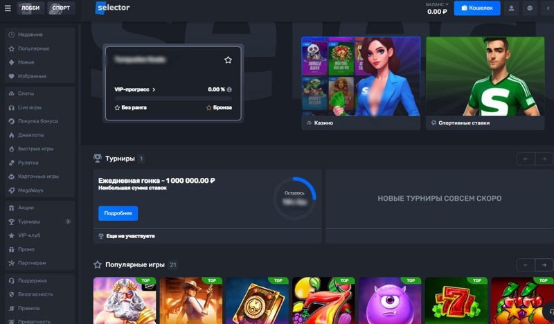 Оформление сайта Selector Casino